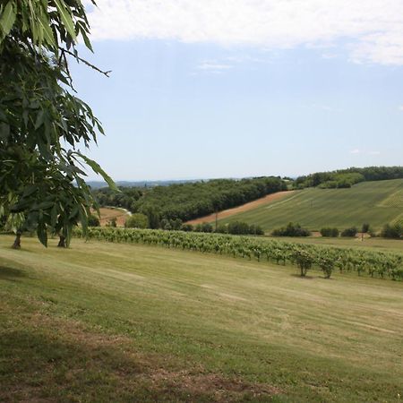 Domaine De Perches Bed & Breakfast Gaillac Exterior foto