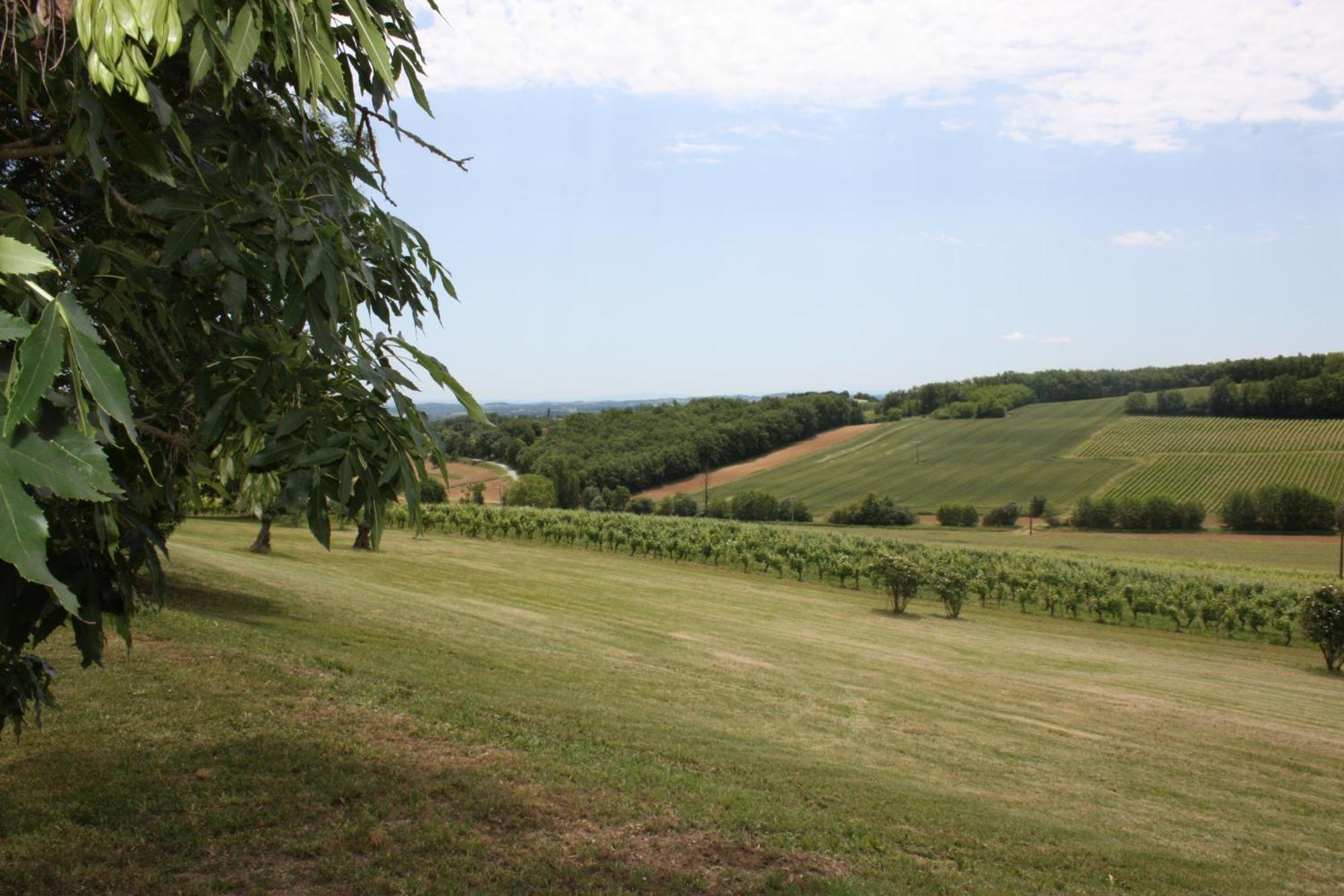 Domaine De Perches Bed & Breakfast Gaillac Exterior foto