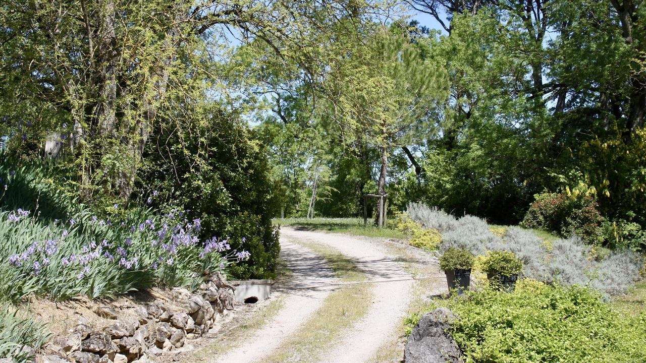 Domaine De Perches Bed & Breakfast Gaillac Exterior foto